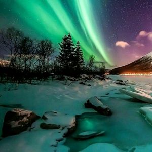 Meet your Posher, Ashlee