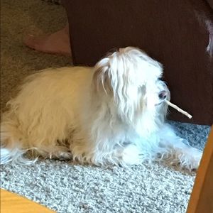 Meet your Posher, Jocelyn