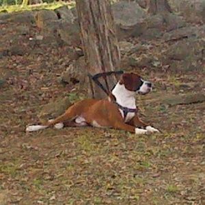 Meet your Posher, Roberto