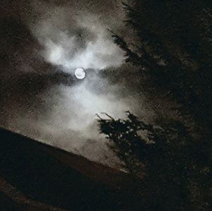 Meet your Posher, Geraldine