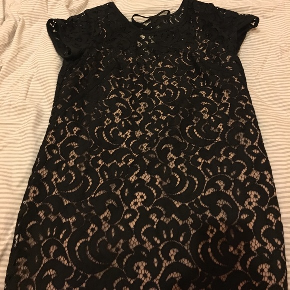 Loft lace shift dress- nude and black - Picture 4 of 5