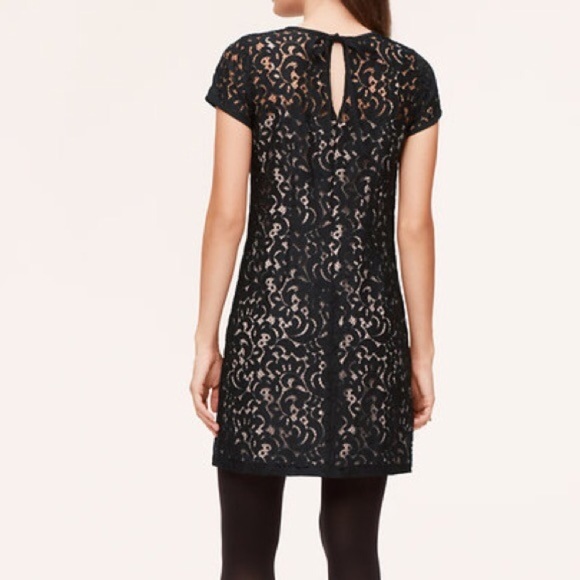 Loft lace shift dress- nude and black - Picture 2 of 5