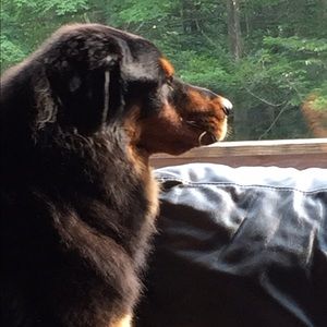 Meet your Posher, Leah