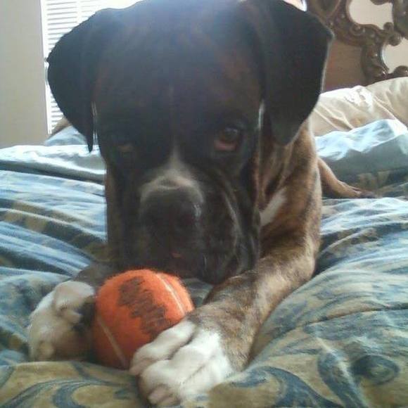 Meet your Posher, Scott - Picture 1 of 1