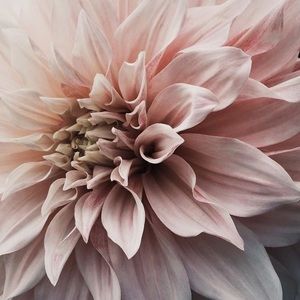 Meet your Posher, Arlene