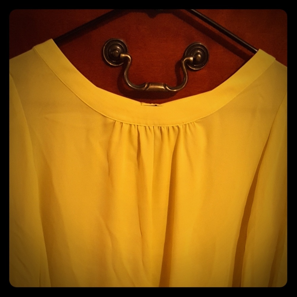 Women's LOFT Blouse