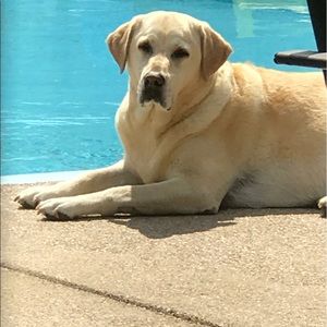 Meet your Posher, Dee