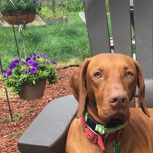 Meet your Posher, Patty