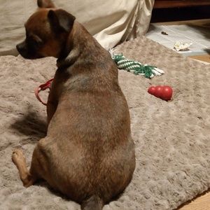 Meet your Posher, Xiaoyan