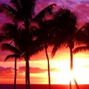 Meet your Posher, India