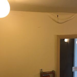 Meet your Posher, Tasha