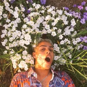 Meet your Posher, Justin