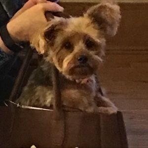 Meet your Posher, Caroline