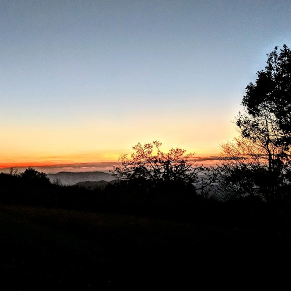 Meet your Posher, Justin - Picture 1 of 1