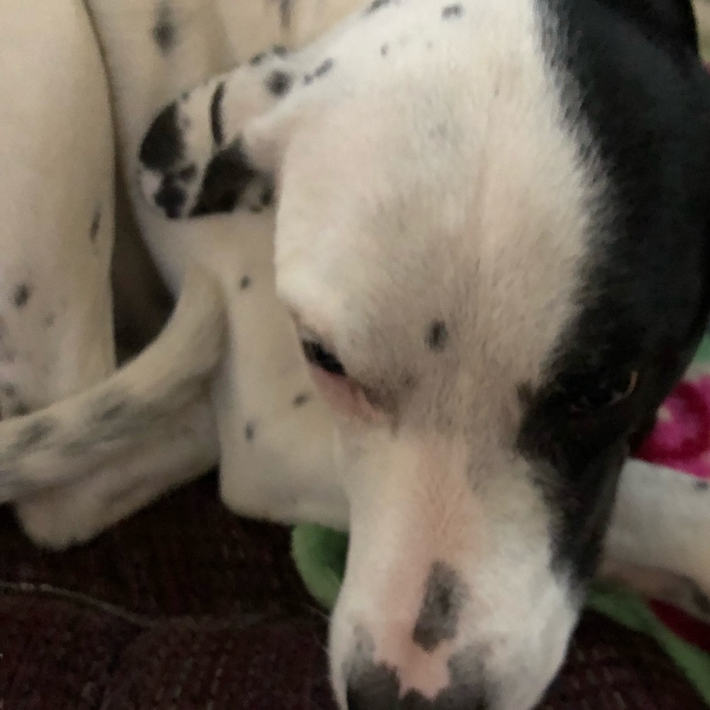 Meet your Posher, Margaret