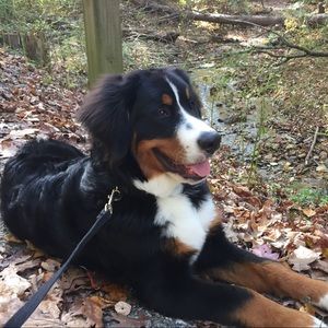 Meet your Posher, Brian