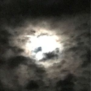 Meet your Posher, Brayden