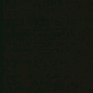 Meet your Posher, Danis