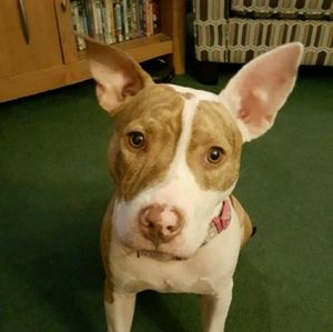 Meet your Posher, Margaret