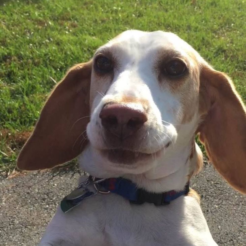 Meet your Posher, Hillary