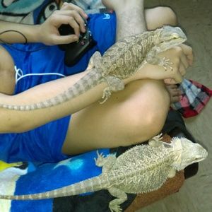 Meet your Posher, Sandra