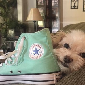 Meet your Posher, Ava