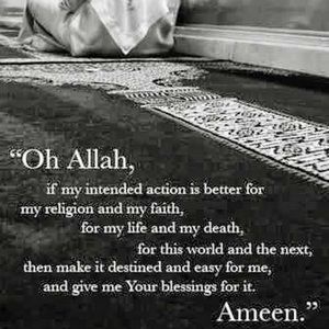 Meet your Posher, Fatin