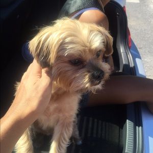 Meet your Posher, Avery