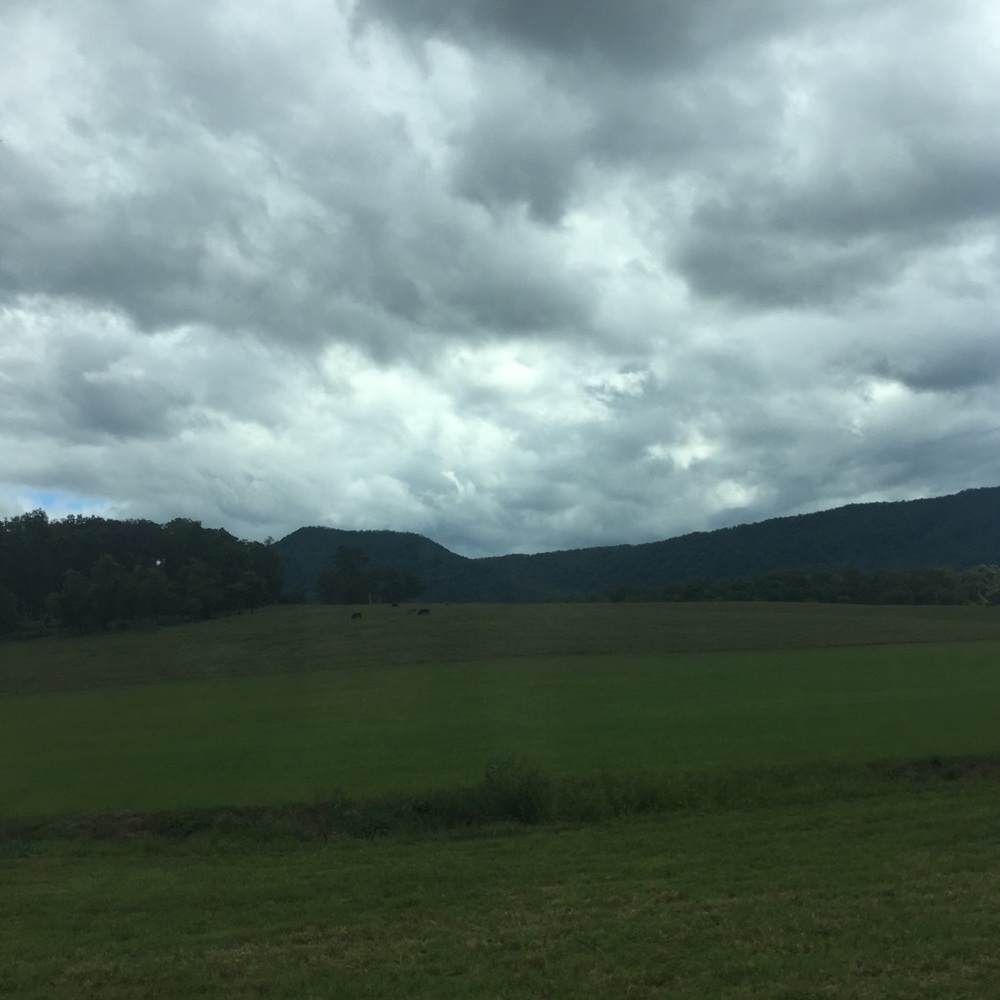 Meet your Posher, Kali