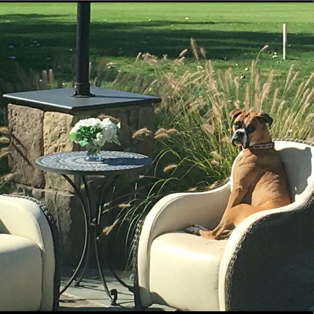 Meet your Posher, Sandra