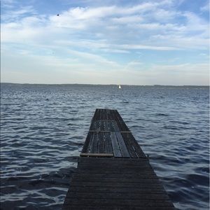 Meet your Posher, Liza