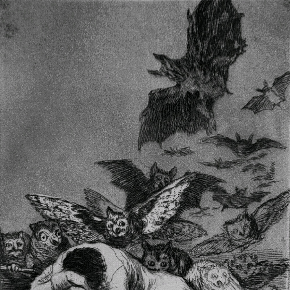 Meet your Posher, Ana