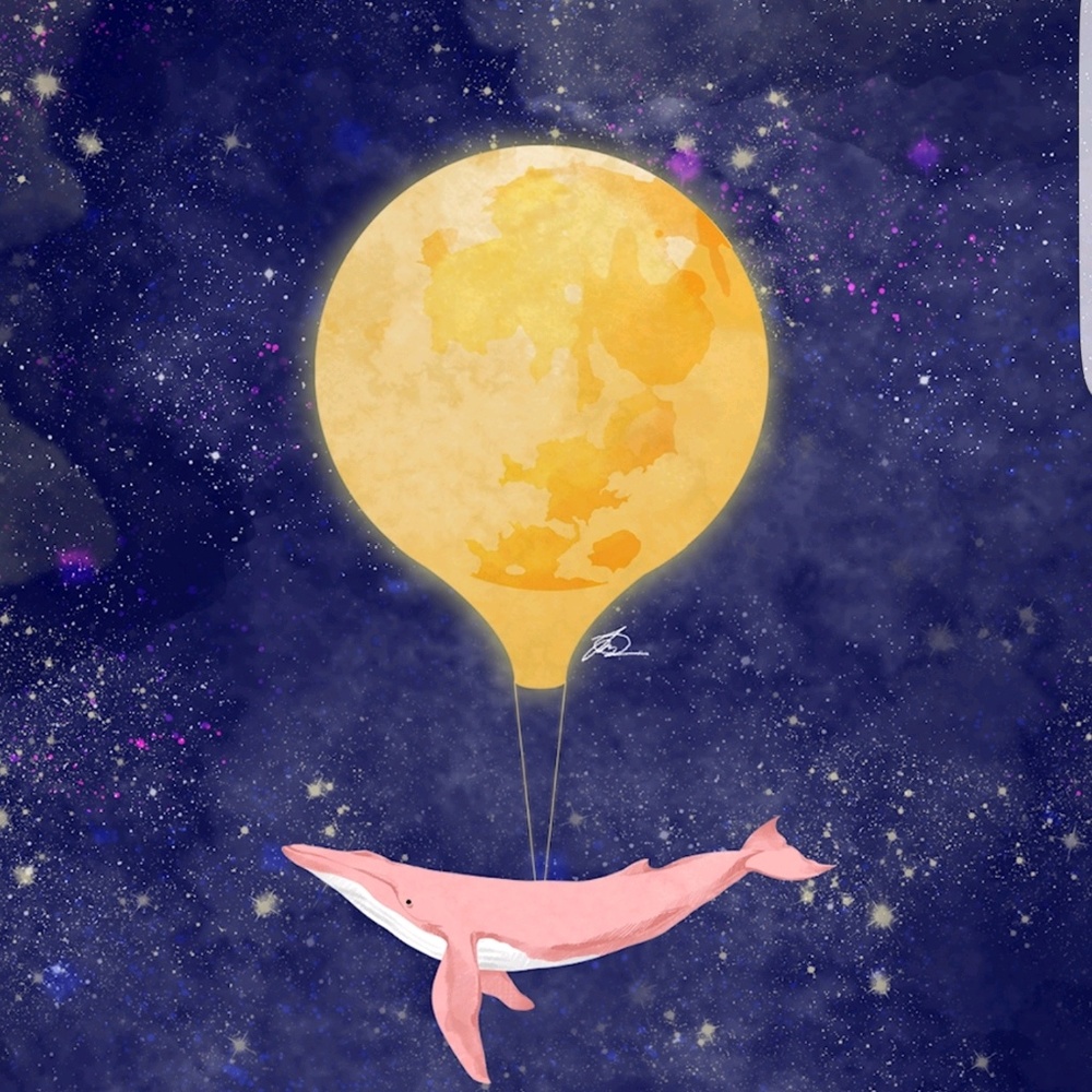 Meet your Posher, Sonya