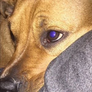 Meet your Posher, Annabel