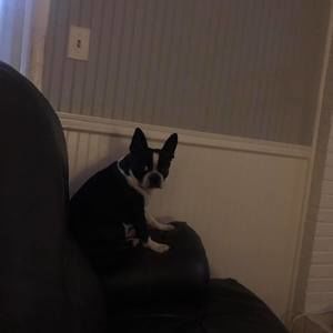 Meet your Posher, Cheryl