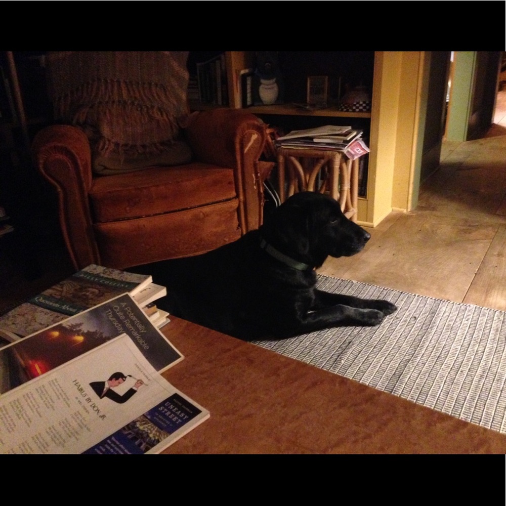 Meet your Posher, Patience