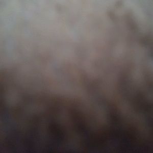 Meet your Posher, Abdul