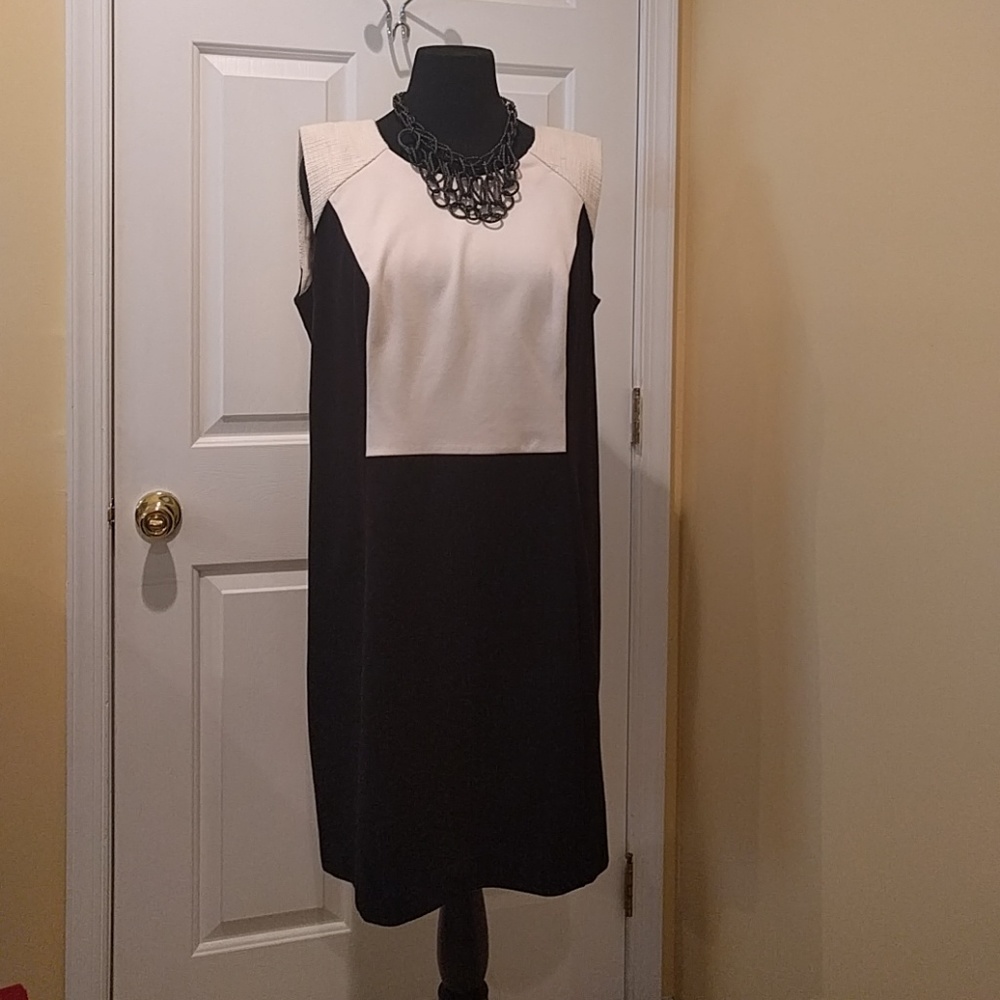 NWT DKNYC Black Dress With Ivory Contrast