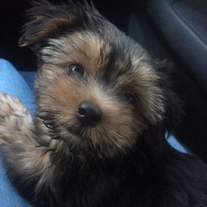 Meet your Posher, Heather