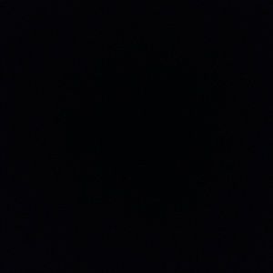 Meet your Posher, Rowan