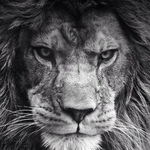 Meet your Posher, Hayden