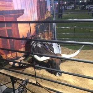 Meet your Posher, Chase