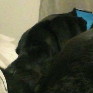 Meet your Posher, Donovan