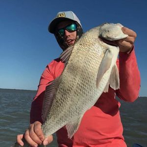 Meet your Posher, Douglas