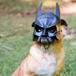 Meet your Posher, Nathan