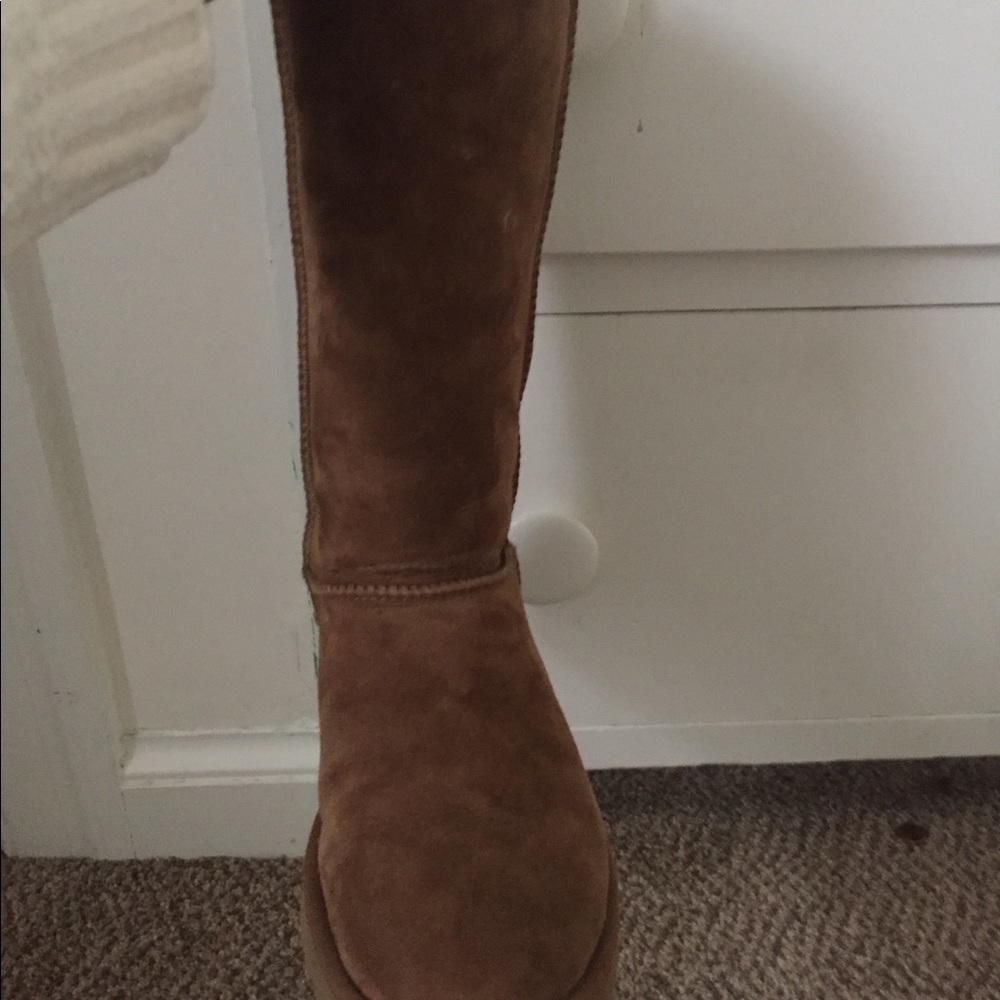 Chestnut tall uggs Hoping to sell ASAP