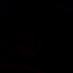 Meet your Posher, Ashlee