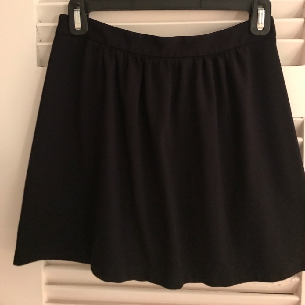 JCREW skirt 2