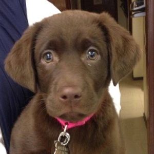 Meet your Posher, Kelly