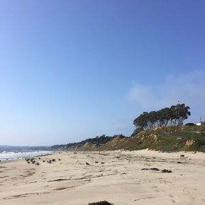 Meet your Posher, Jodie